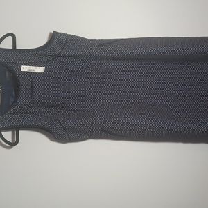 NWT Blue J. CREW Polka dot Dress